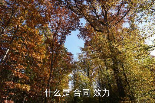什么是 合同 效力