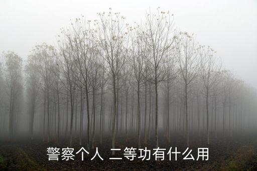 個人二等功有什么待遇,部隊二等功含金量