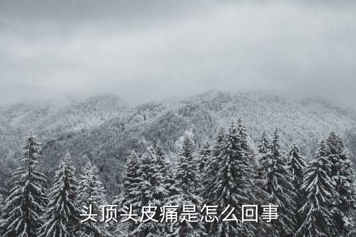 頭頂頭