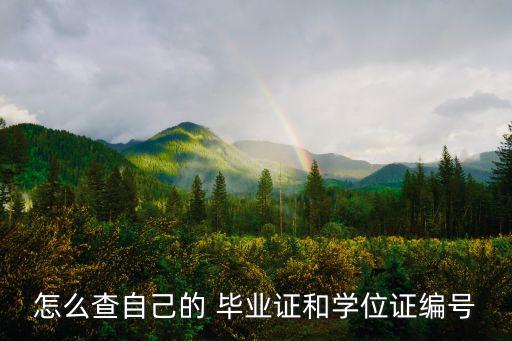 怎么查自己的 畢業(yè)證和學(xué)位證編號(hào)