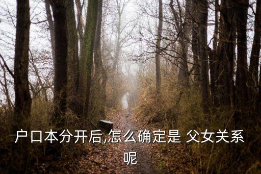 戶口本分開后,怎么確定是 父女關(guān)系呢