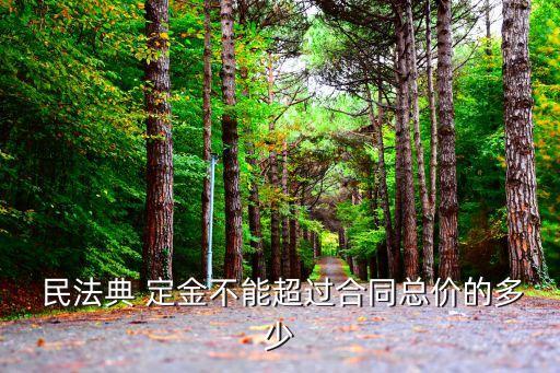  民法典 定金不能超過合同總價的多少