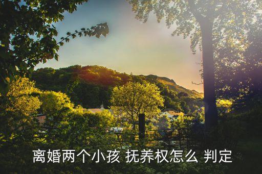 夫妻離婚孩子撫養(yǎng)權(quán)怎么判定