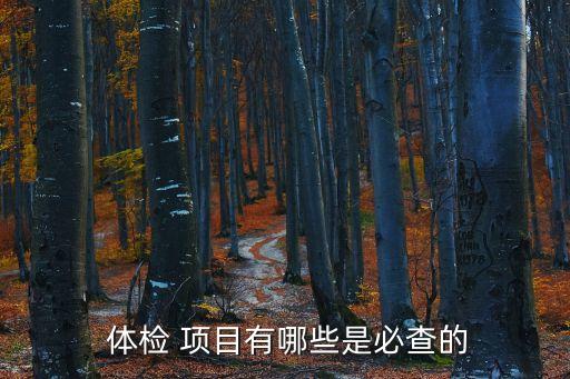 體檢必檢查項(xiàng)目,老年人體檢主要檢查些什么項(xiàng)目
