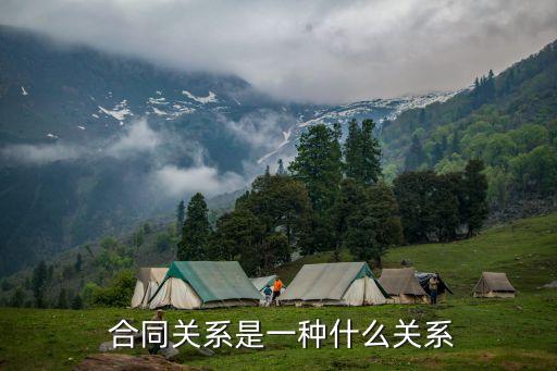  合同關(guān)系是一種什么關(guān)系