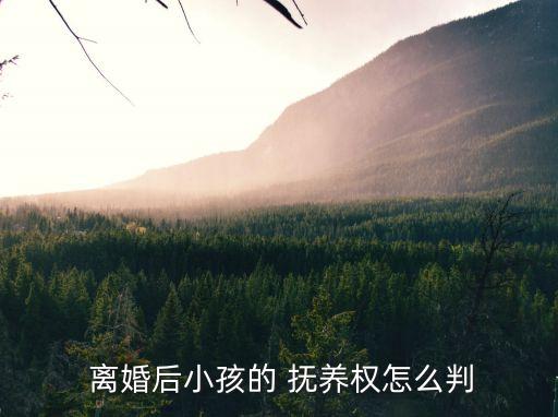 離婚孩子撫養(yǎng)權(quán)