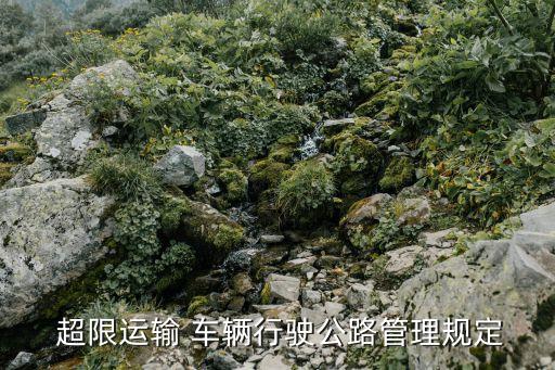 超限車輛