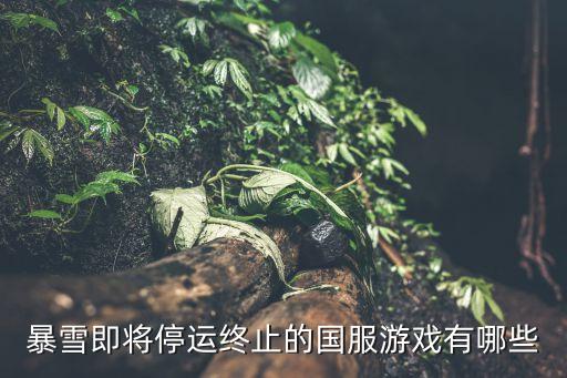 上海網(wǎng)之易網(wǎng)絡(luò)科技發(fā)展有限公司