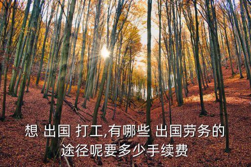 正規(guī)出國打工
