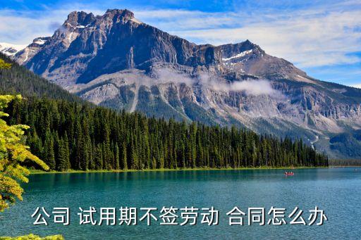 試用期沒簽合同