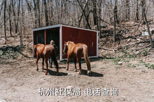 杭州市民中心電話(huà),各種證件辦理聯(lián)系電話(huà)