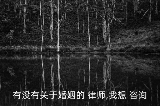 婚姻法律師事務(wù)所咨詢,北京十佳婚姻法律師事務(wù)所