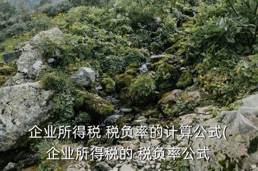  企業(yè)所得稅 稅負(fù)率的計(jì)算公式( 企業(yè)所得稅的 稅負(fù)率公式