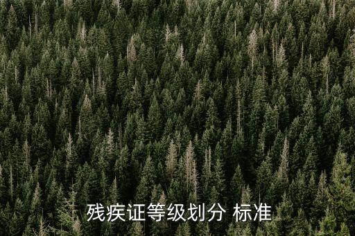  殘疾證等級(jí)劃分 標(biāo)準(zhǔn)