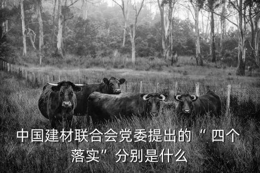 中國建材聯(lián)合會(huì)黨委提出的“ 四個(gè) 落實(shí)”分別是什么