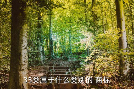 35類屬于什么類別的 商標