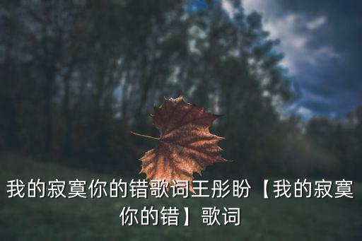 我的寂寞你的錯(cuò)歌詞王彤盼【我的寂寞你的錯(cuò)】歌詞