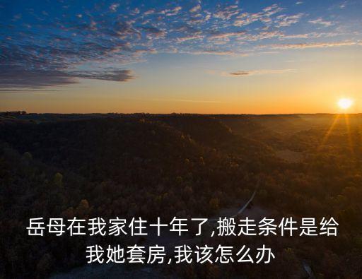 老岳母