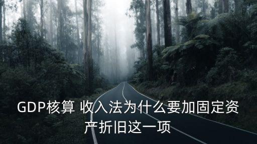 GDP核算 收入法為什么要加固定資產(chǎn)折舊這一項