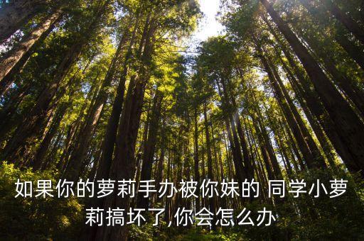 妹妹的同學(xué)