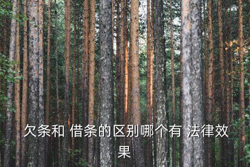 借條和欠條哪個更具有法律效力,打官司欠條和借條哪個更管用