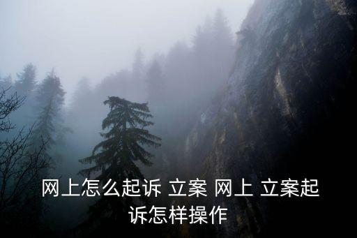 網(wǎng)上立案流程,網(wǎng)上起訴流程和需要資料