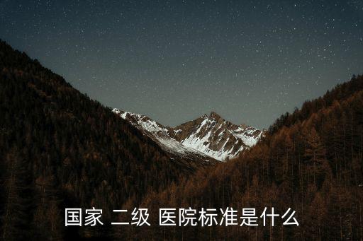 國家 二級 醫(yī)院標準是什么
