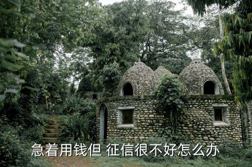 急著用錢但 征信很不好怎么辦