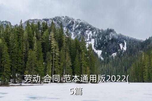  勞動 合同 范本通用版2022(5篇