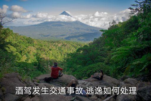  酒駕發(fā)生交通事故 逃逸如何處理