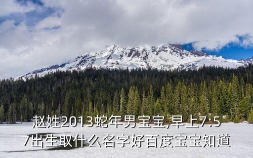 趙儉,比亞迪趙儉平