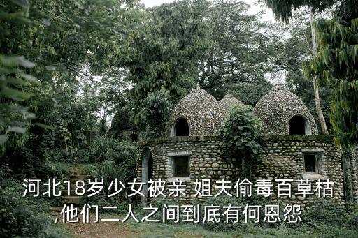 河北18歲少女被親 姐夫偷毒百草枯,他們二人之間到底有何恩怨