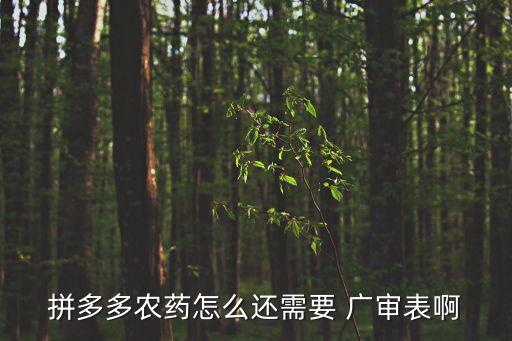 廣審表
