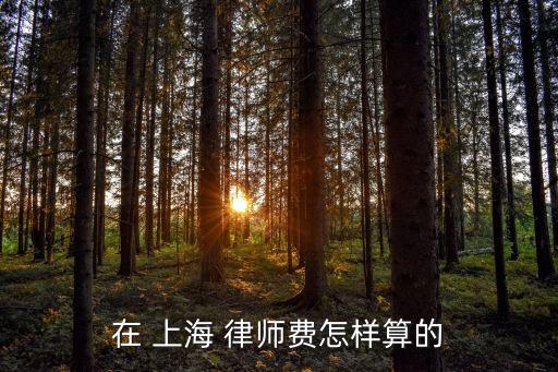 在 上海 律師費(fèi)怎樣算的