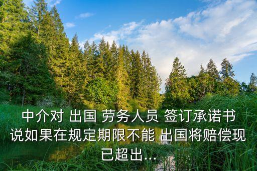 出國(guó)勞務(wù)合同簽訂協(xié)議有效嗎,合同簽訂之后附加協(xié)議有效嗎