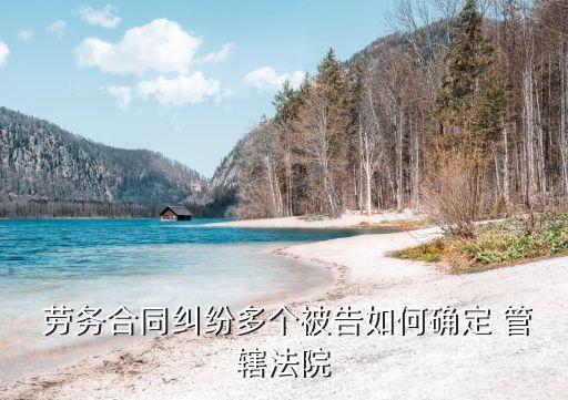  勞務(wù)合同糾紛多個被告如何確定 管轄法院