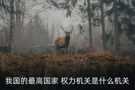 我國的最高國家 權(quán)力機關(guān)是什么機關(guān)