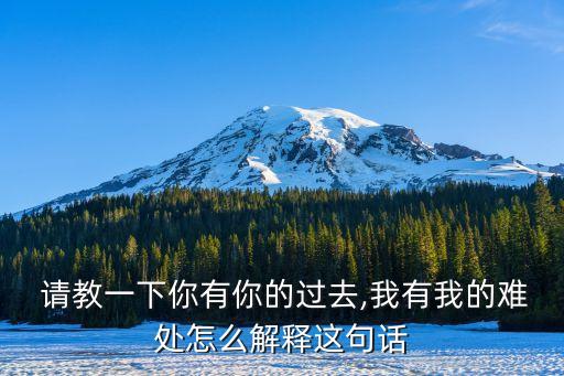  請教一下你有你的過去,我有我的難處怎么解釋這句話
