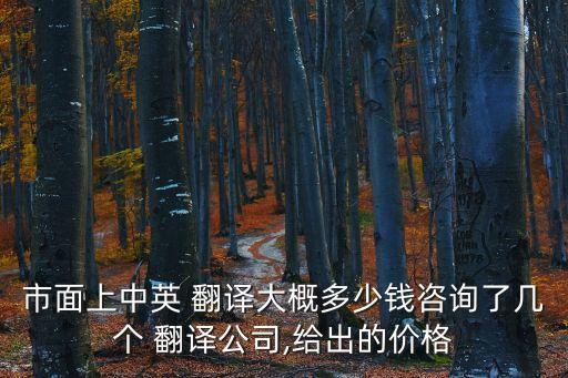 市面上中英 翻譯大概多少錢咨詢了幾個 翻譯公司,給出的價格