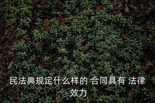 怎么樣的合同有法律效力,夫妻之間的合同怎么樣才有法律效力