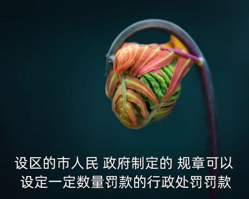 政府規(guī)章可以設(shè)定