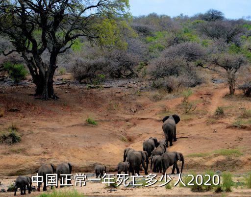 中國正常一年死亡多少人2020