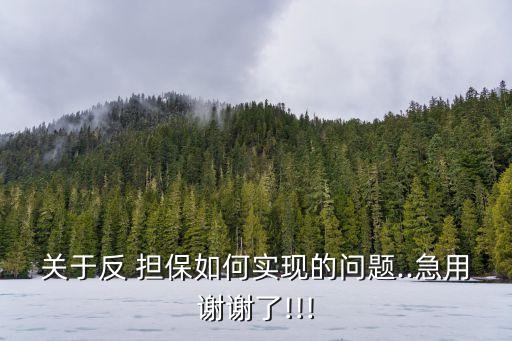 關(guān)于反 擔(dān)保如何實(shí)現(xiàn)的問(wèn)題..急用謝謝了!!!