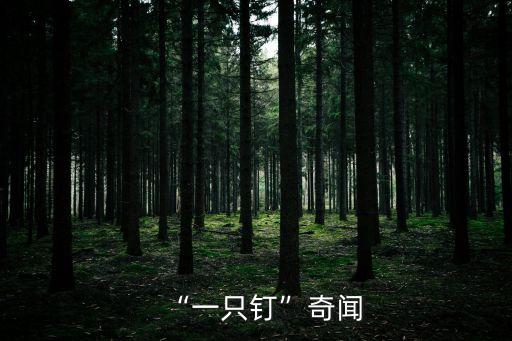 張富