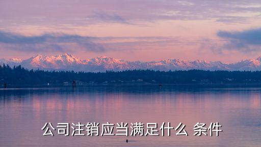  公司注銷應(yīng)當(dāng)滿足什么 條件