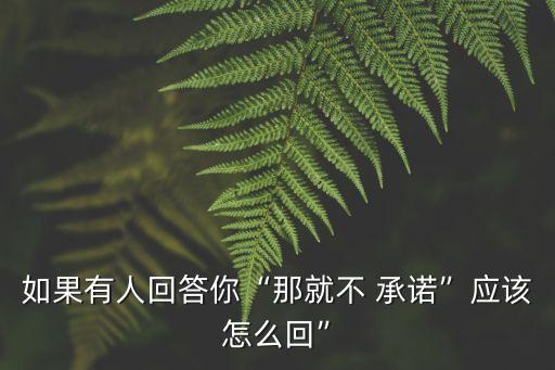 如果有人回答你“那就不 承諾”應(yīng)該怎么回”