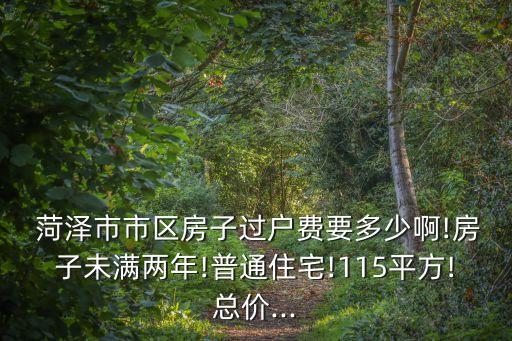  菏澤市市區(qū)房子過(guò)戶費(fèi)要多少啊!房子未滿兩年!普通住宅!115平方!總價(jià)...