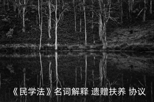 《民學法》名詞解釋 遺贈扶養(yǎng) 協(xié)議