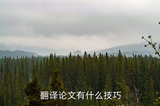  翻譯論文有什么技巧
