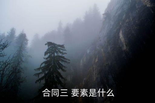 合同成立的條件三要素,合同無效的12種情形